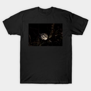 Night Hunter T-Shirt